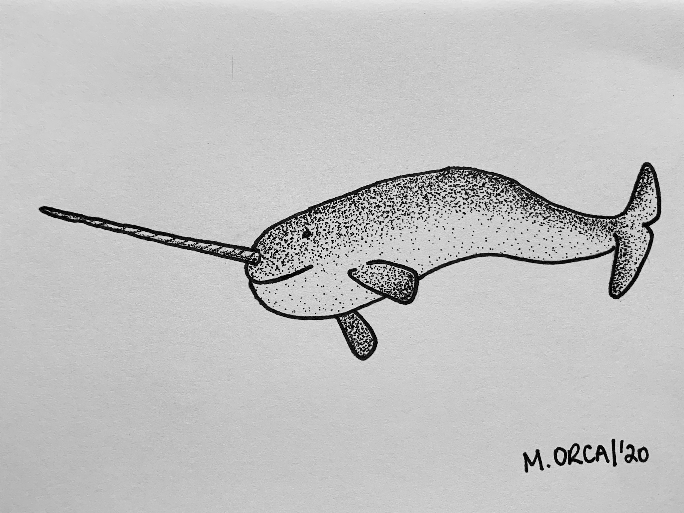 Narwhal dotwork drawing made with ink pen