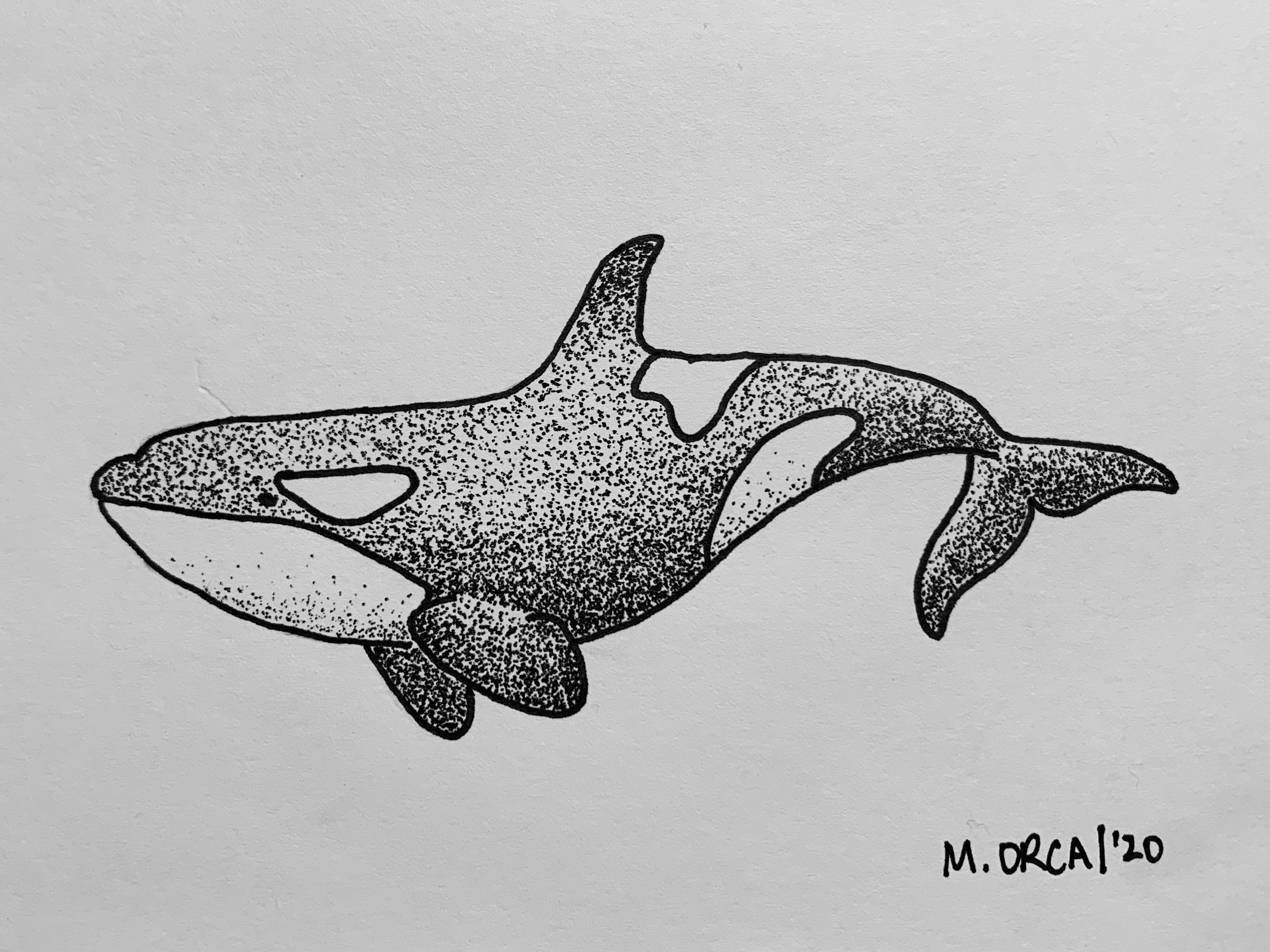 Orca dotwork drawing made with ink pen